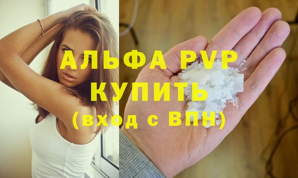 мдпв Каменногорск