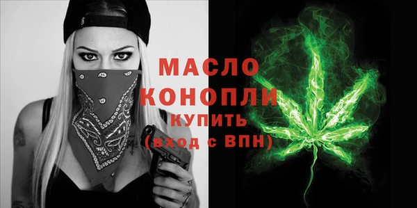 мдпв Каменногорск