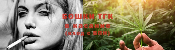 мдпв Каменногорск