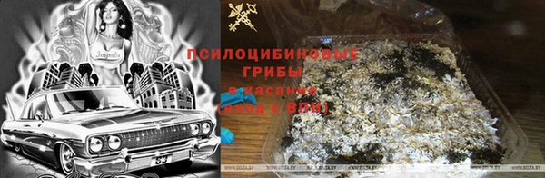 мдпв Каменногорск