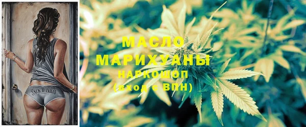 мдпв Каменногорск