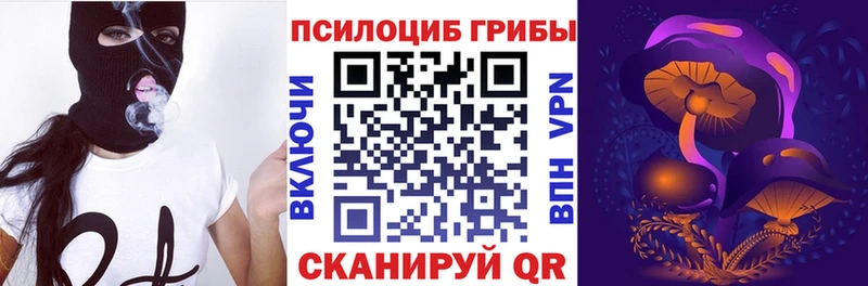 Купить где  Луховицы  Галлюциногенные грибы Psilocybe 
